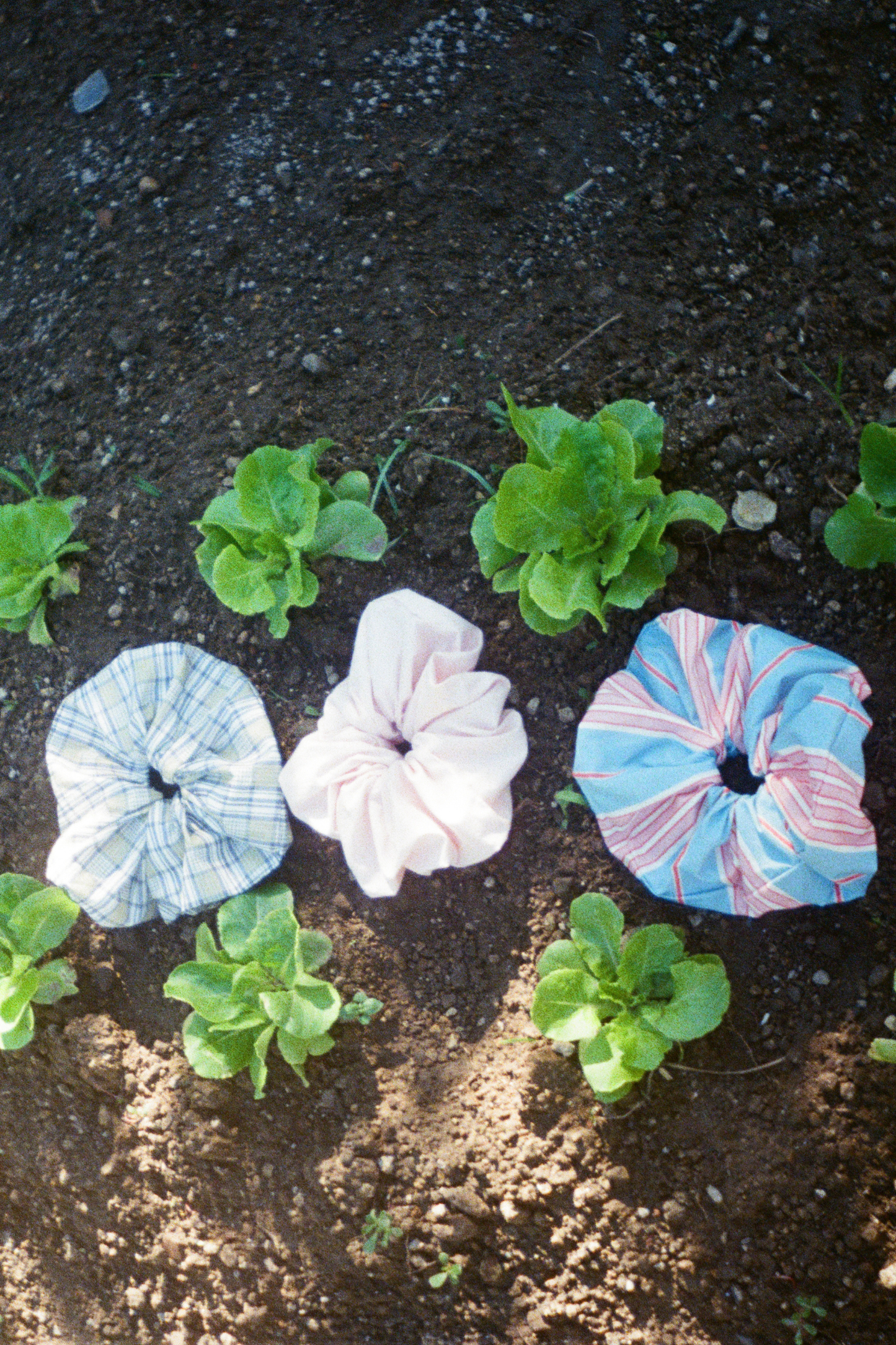 Eva Scrunchie - Baby Pink